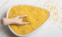 粟米是什么米？粟米的功效與作用及食用方法
