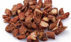 丹參的性能、主治、臨床應(yīng)用及用藥注意事項(xiàng)