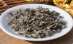 艾葉的性能、主治、臨床應(yīng)用及注意事項(xiàng)