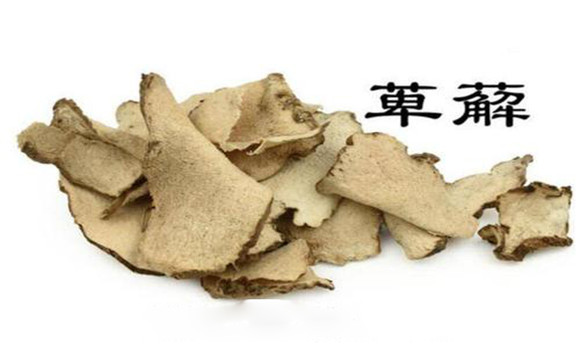 萆薢的用法，用量與禁忌