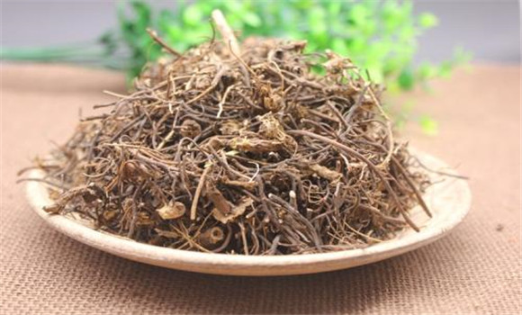 威靈仙的用法、用量與禁忌