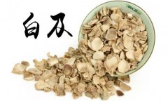 白及的產(chǎn)地是哪里？白及的用法、用量與禁忌