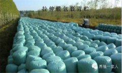 青貯飼料的調制方法、技術要點與注意事項