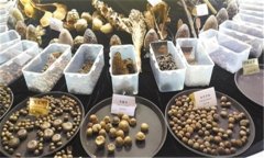怎樣安全貯存蔬菜種子？蔬菜種子知識