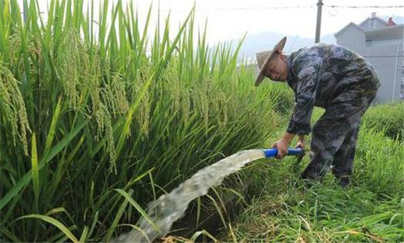 科學(xué)管水、防止早衰