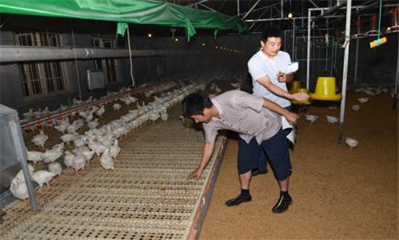 無污染、零排放