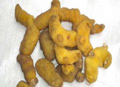 黃精的產(chǎn)地有哪些？