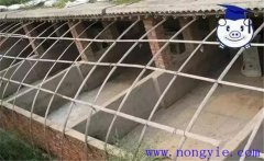 建豬舍應(yīng)注意哪些問題，如何做好豬舍消毒工作