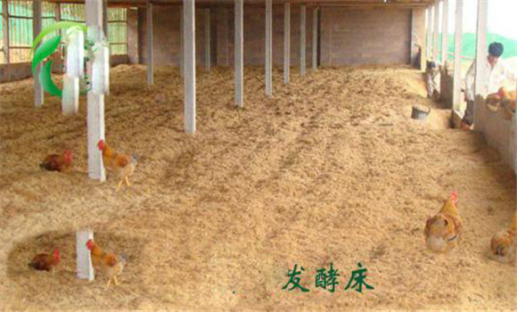 提升空氣質量，減輕呼吸道炎癥等疾病