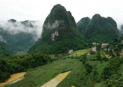 目前較好的農(nóng)村致富項(xiàng)目有哪些？