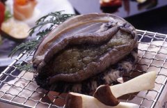 鮑魚(yú)的常見(jiàn)種類（品種）有哪些