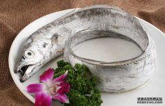 帶魚的產(chǎn)地、分布生活習(xí)性與品種分類