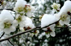 小寒節(jié)氣是什么意思？小寒節(jié)氣的氣候特征