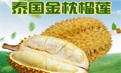 榴蓮品種介紹 常見的榴蓮品種有哪些？