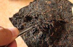 喝普洱茶能減肥嗎？