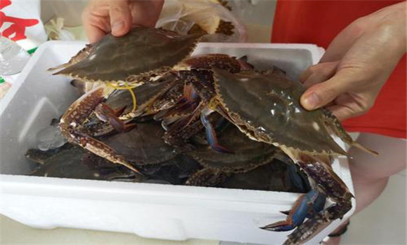 螃蟹屬于海鮮嗎？