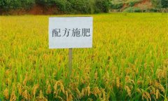 測(cè)土配方施肥的意義、作用