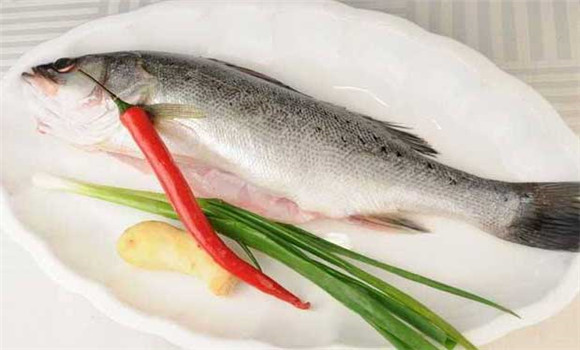 鱸魚(yú)多少錢一斤