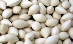 白果的功效與作用及食用方法、禁忌