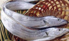 帶魚發(fā)黃能吃嗎？帶魚表面發(fā)黃的原因是什么