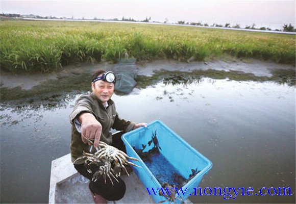 水源充足、水質(zhì)清新無污染
