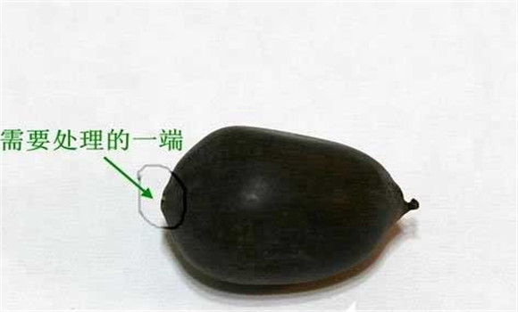 碗蓮的種植方法帶圖，碗蓮的種植方法與技術(shù)詳