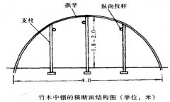 塑料中棚加外覆蓋能明顯使蔬菜早熟，效益高