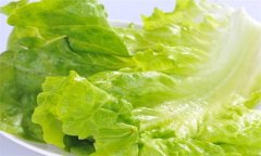 生菜的營養(yǎng)成分，生菜的營養(yǎng)價值及功效有哪些