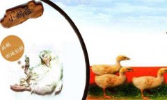 小鵝瘟癥狀有哪些，治療與防治措施簡(jiǎn)介