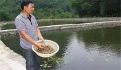 魚塘如何施肥？魚塘施肥技術(shù)的三個要點