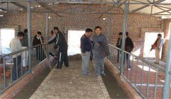 奶牛場設(shè)施設(shè)備有哪些，是如何分類的？