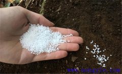 用尿素喂牛的方法，尿素喂牛應(yīng)注意的問題
