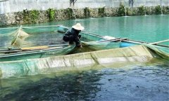 魚赤皮病的治療方法、是什么引起、有什么癥狀