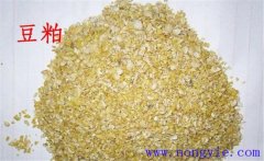 怎樣用豆粕喂牛，豆粕和豆餅喂牛效果一樣嗎？