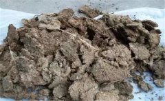 雞糞如何發(fā)酵成有機(jī)肥，用什么發(fā)酵菌好？