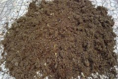 怎樣用多菌靈給土壤消毒，多菌靈可防治哪些病