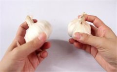 怎樣種植大蒜？大蒜栽培技術(shù)十大要點(diǎn)