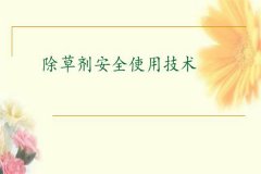 除草劑安全使用要點(diǎn) 發(fā)生除草劑藥害如何補(bǔ)救？