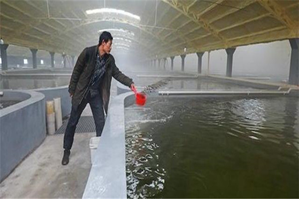 pH值。表示水的酸堿度