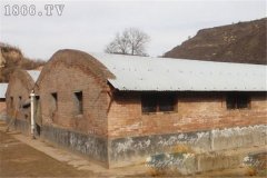 麝鼠圈舍建筑方法與要求有哪些？