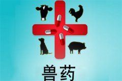 獸藥屬于藥品嗎？獸藥與人用藥的區(qū)別是什么？
