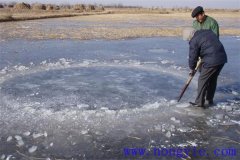 越冬魚(yú)池的水體環(huán)境是怎樣的？