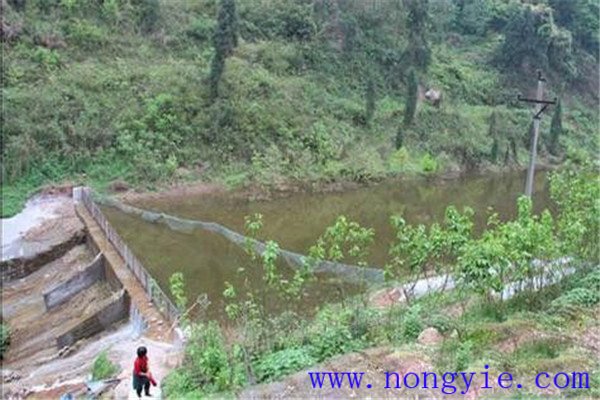 發(fā)展山區(qū)流水養(yǎng)魚要注意哪些問(wèn)題