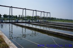 現(xiàn)代池塘養(yǎng)魚的生產(chǎn)與經(jīng)營特點(diǎn)是什么？