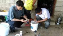 魚病治療中的發(fā)現(xiàn)、送診、用藥問題
