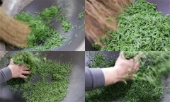 毛尖茶手工制作的具體步驟和方法是什么？