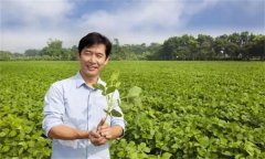 新型農(nóng)民是指什么農(nóng)民，其具備哪三個(gè)特征