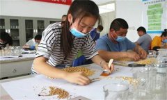 農(nóng)作物的種子質量檢驗包括哪些內(nèi)容？