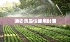 農(nóng)藥用藥時(shí)間問題：適時(shí)用藥是關(guān)鍵！