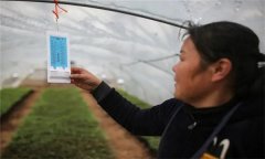 溫度對(duì)農(nóng)作物生長(zhǎng)發(fā)育的影響有哪些方面？
